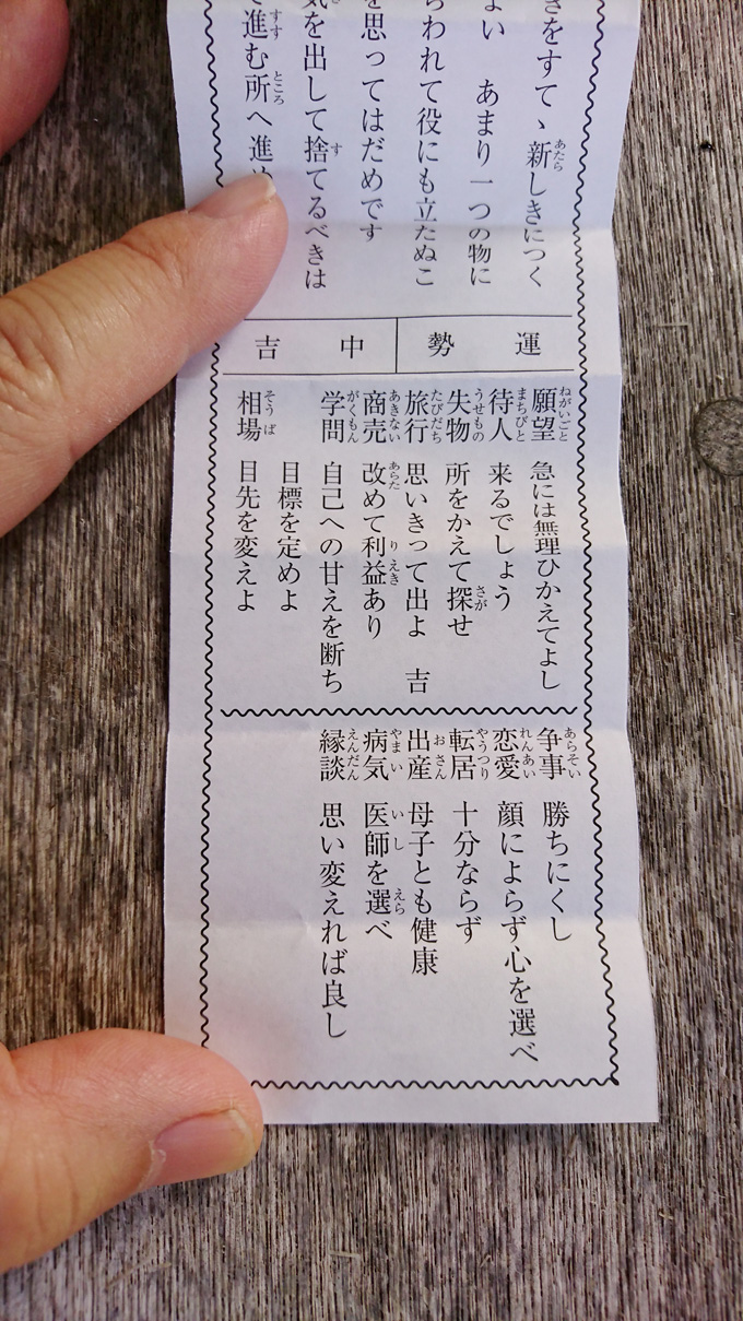 くまぜみ3.jpg