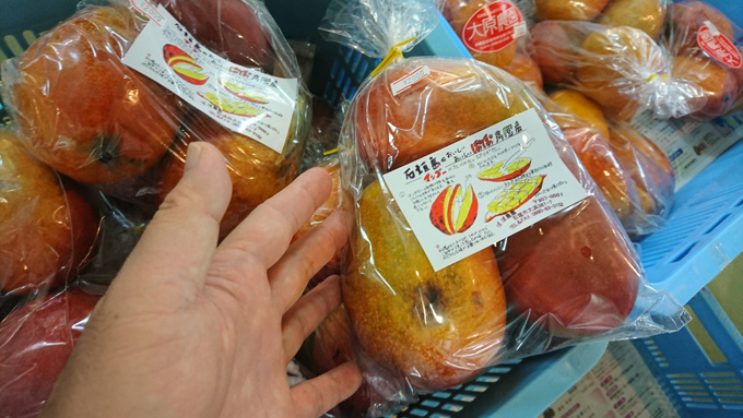 お買い得マンゴ2.jpg