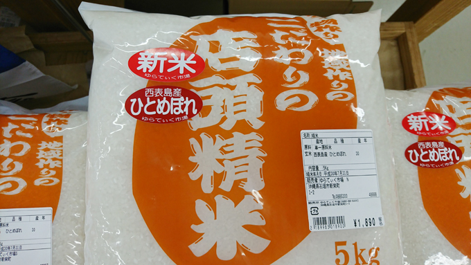 西表米1.jpg