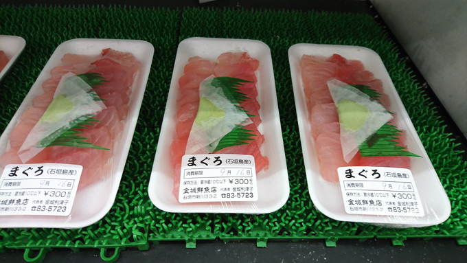 まぐろろ1.jpg