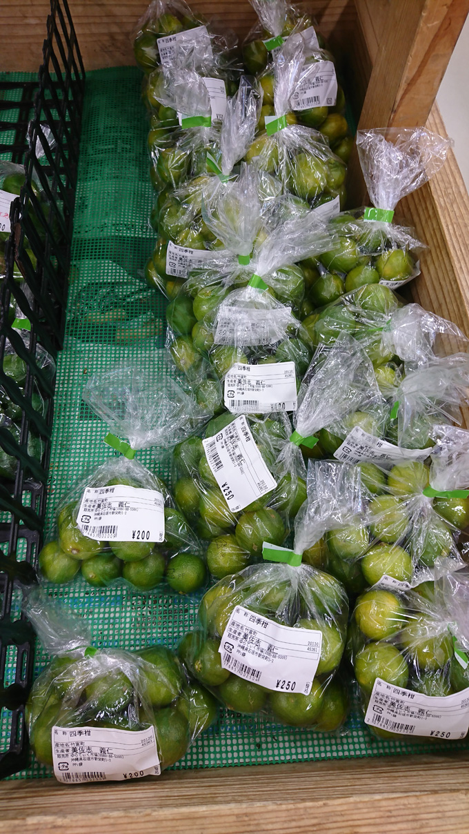 秋の果物1.jpg