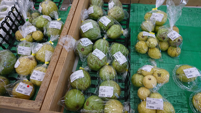 秋の果物2.jpg