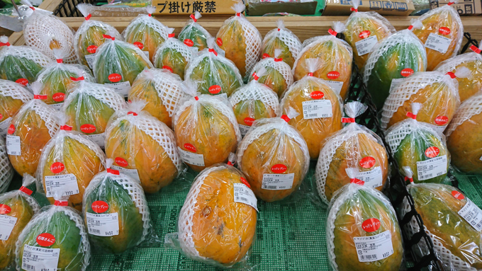 秋の果物6.jpg