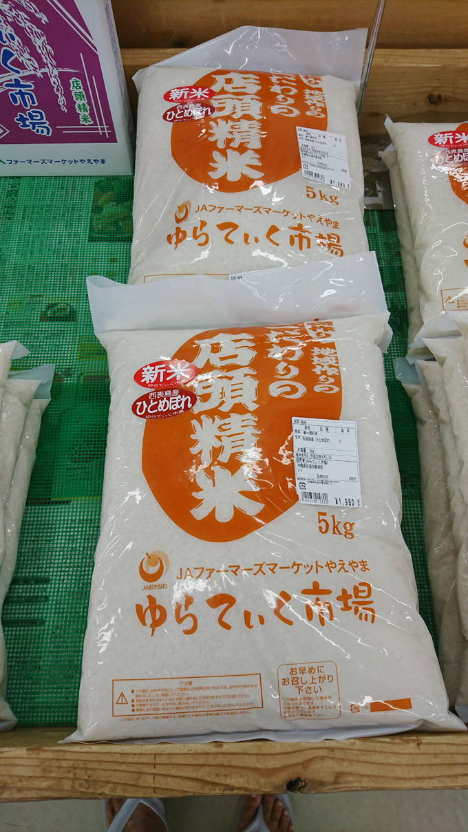アブラミソ1.jpg