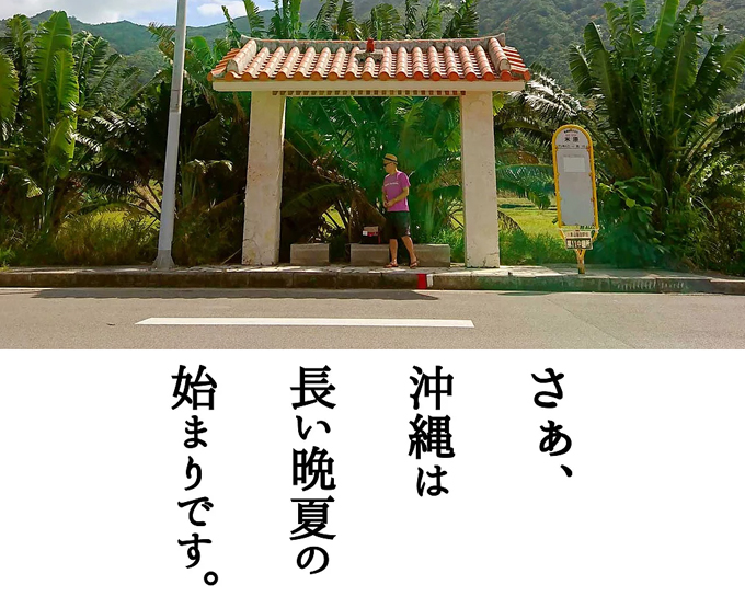 秋突入3.jpg