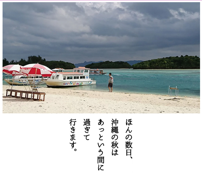 秋バージョンへ1.jpg