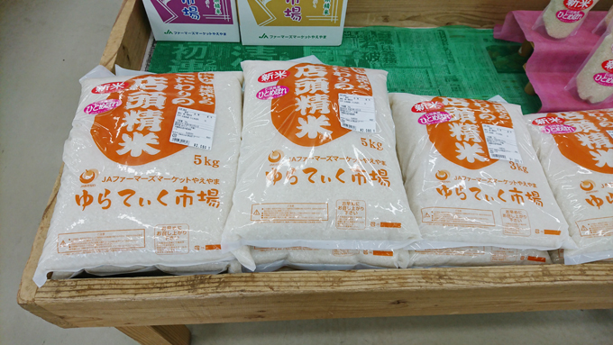 高すぎバナナ1.jpg