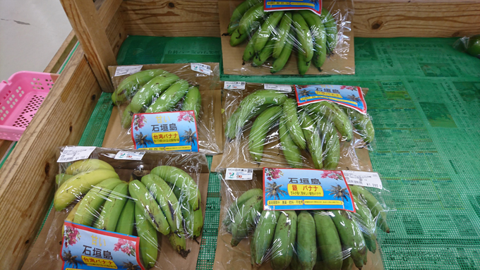 高すぎバナナ4.jpg