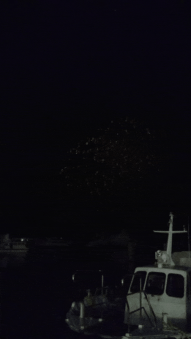 20181105_091005.gif