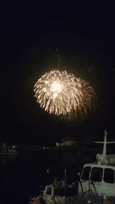 20181105_091541.gif
