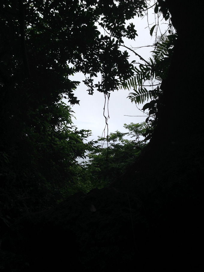 20140615_988651.jpg