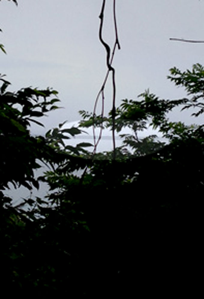 20140615_988651000.jpg
