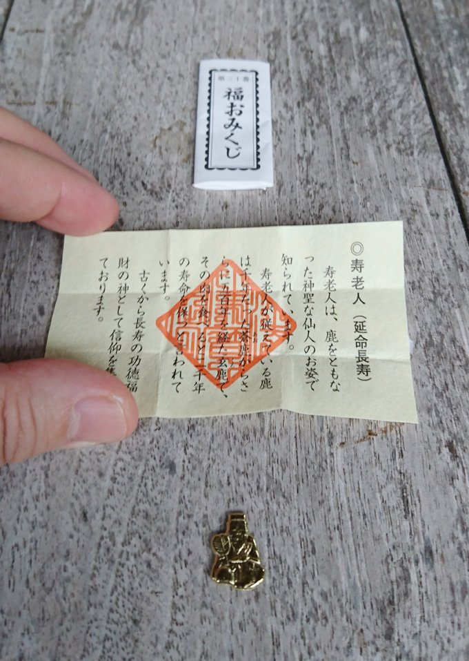 今日から4.jpg