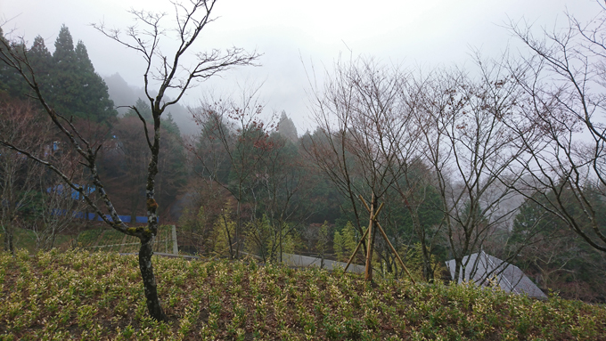 部屋13.jpg