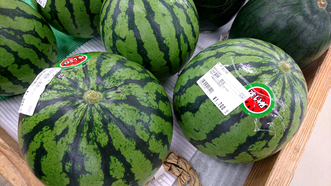 スイカでた1.jpg