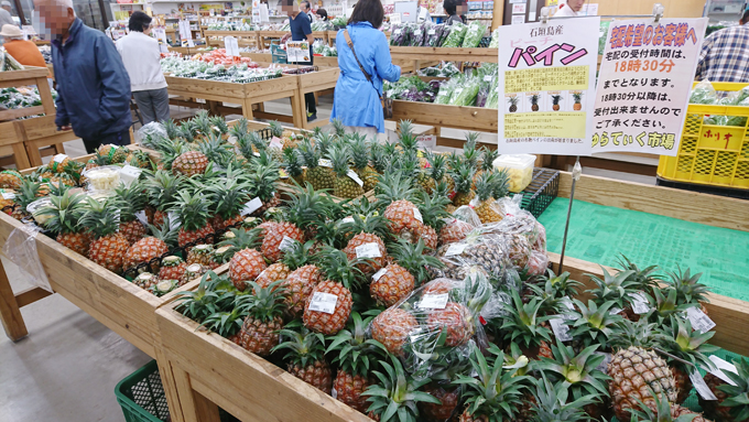 スイカでた3.jpg