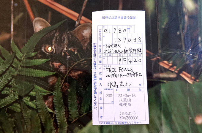ヤマネコボキン.jpg