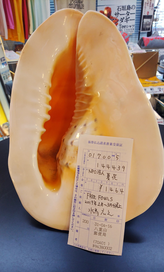 サンゴ募金.jpg