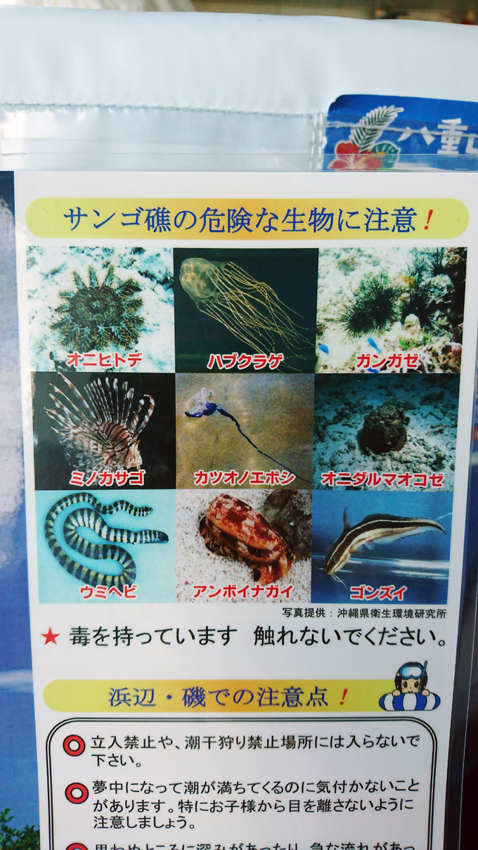 16日竹富8.jpg
