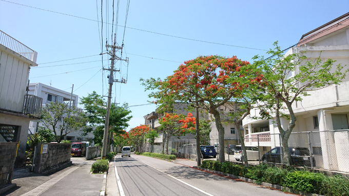 花に誘われて2.jpg