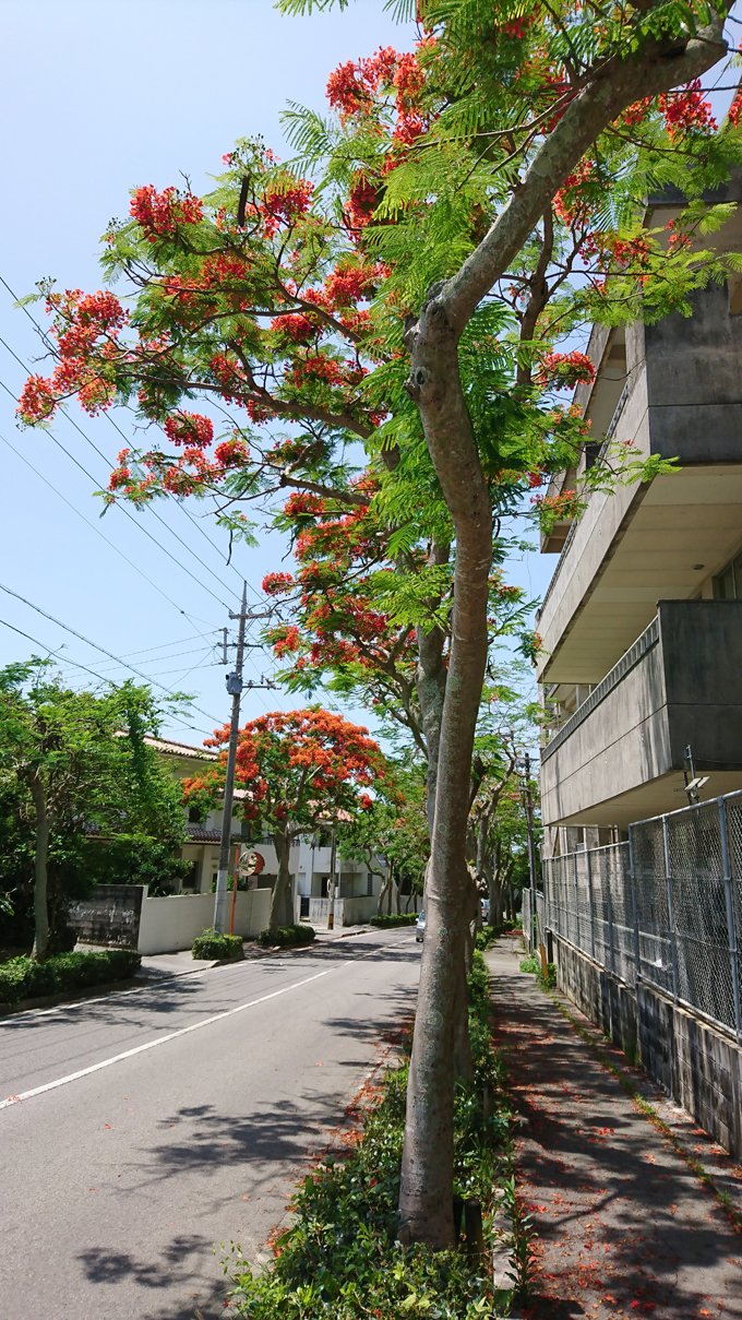 花に誘われて4.jpg