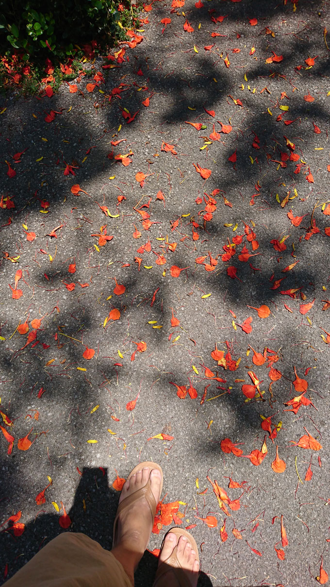 花に誘われて6.jpg