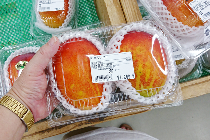 ついしゅく1.jpg