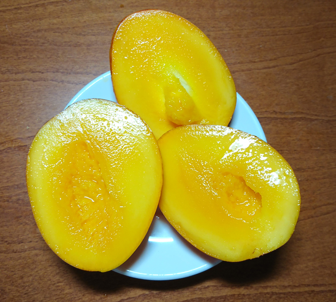ついしゅく4.jpg