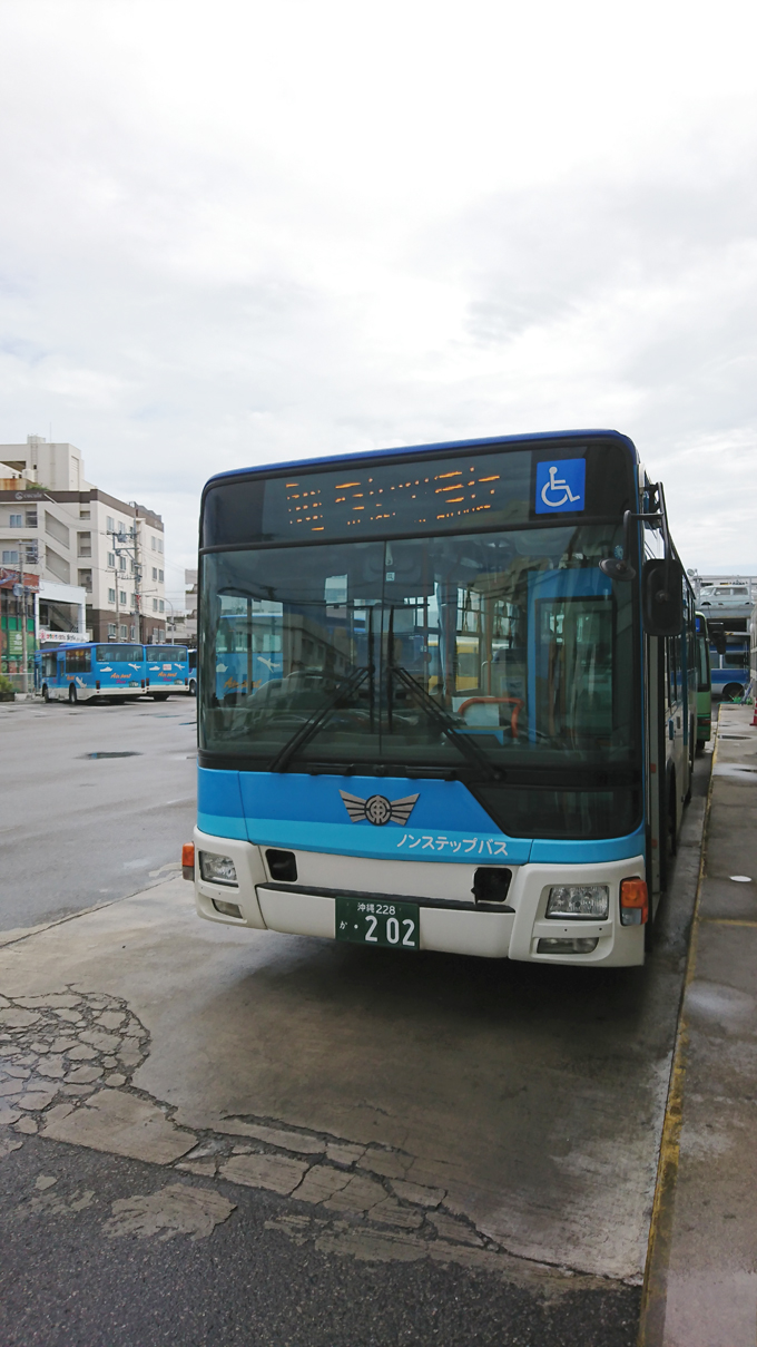 乱切り07.jpg