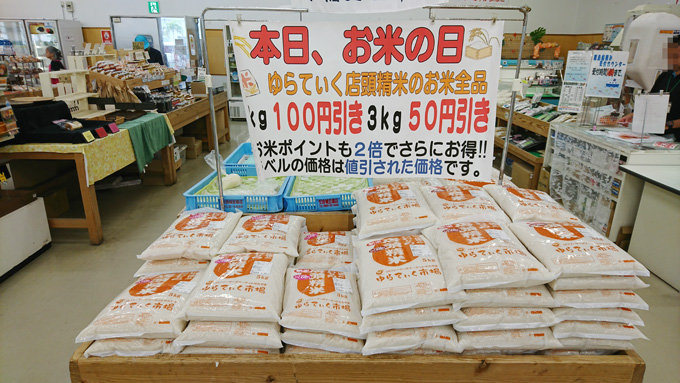 15キロ5.jpg
