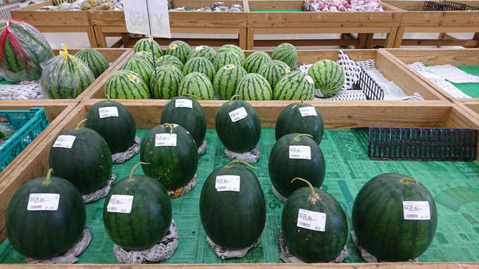 ラインナップ1.jpg