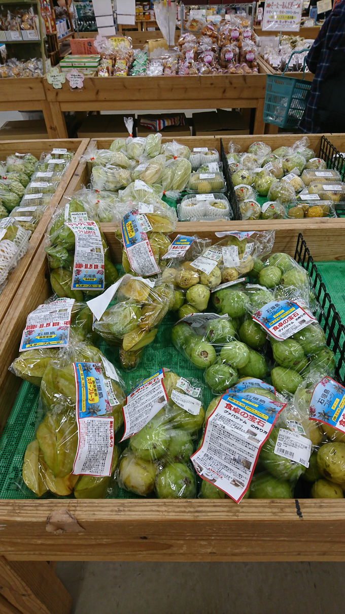 ラインナップ5.jpg