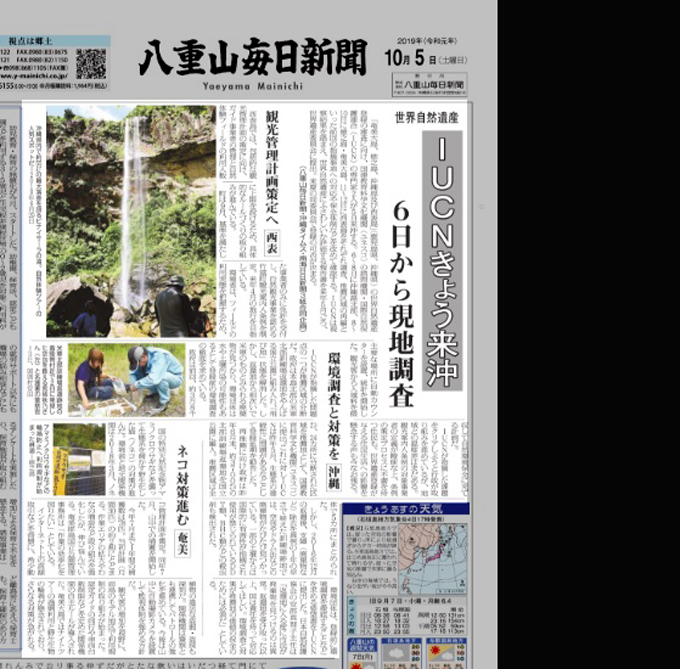 募金山猫.jpg