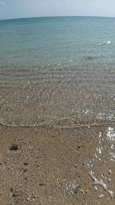 12話その12.gif