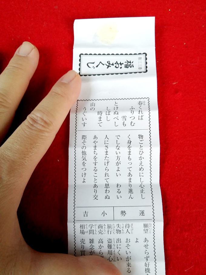 初詣桃林寺9.jpg