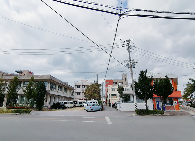 デイゴ咲いてる.jpg
