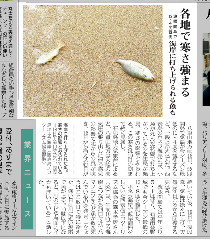 凍死.jpg