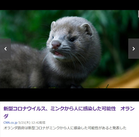 ミンク.jpg