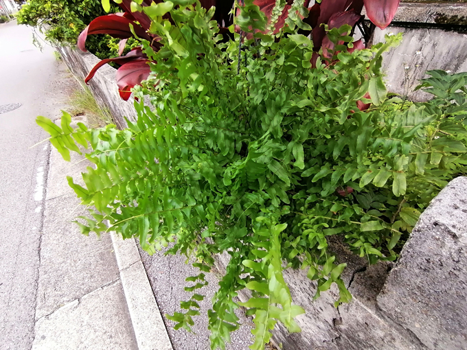 やってもうた3.jpg