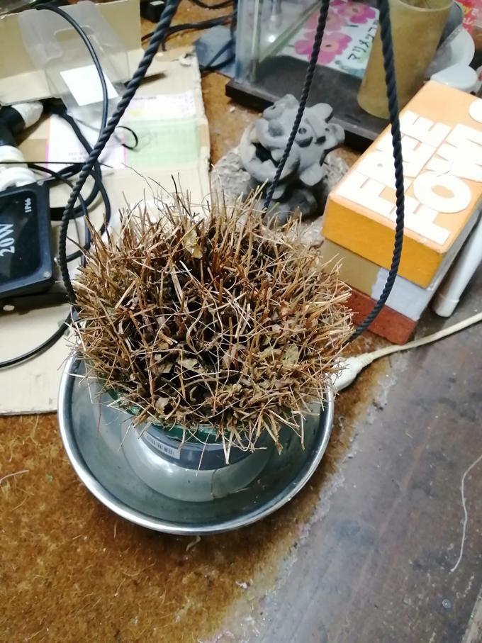 やってもうた4.jpg
