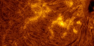 太陽