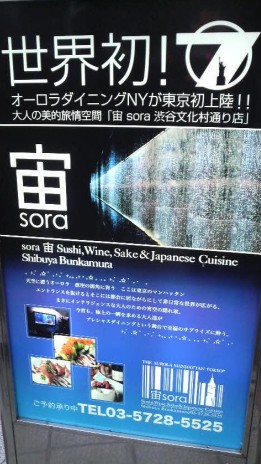 ¥ª¡¼¥í¥é¥À¥¤¥Ë¥ó¥°¡¡sora Ãè ʸ²½Â¼Ä̤êŹ¡¡¥ª¡¼¥í¥é¥À¥¤¥Ë¥ó¥°