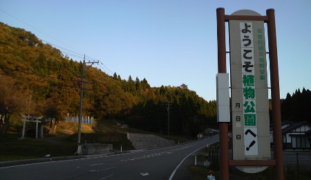 満天星 天文台