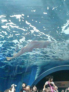 20050816_5769.jpg