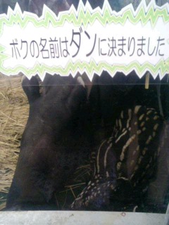 20051103_63129.JPG