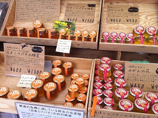日本ミツバチ