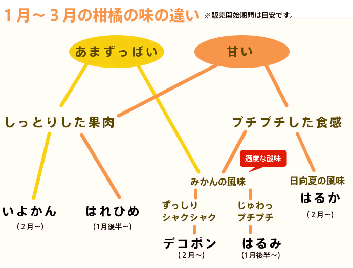 柑橘の相関図