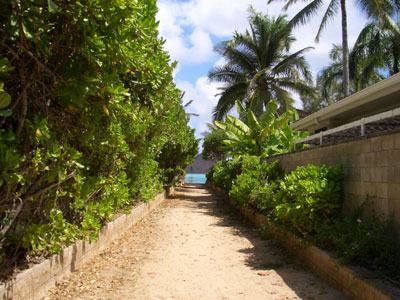 2010hawaii 075.jpg