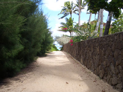 2010hawaii 088.jpg