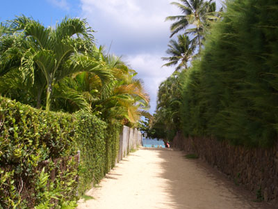 2010hawaii 090.jpg